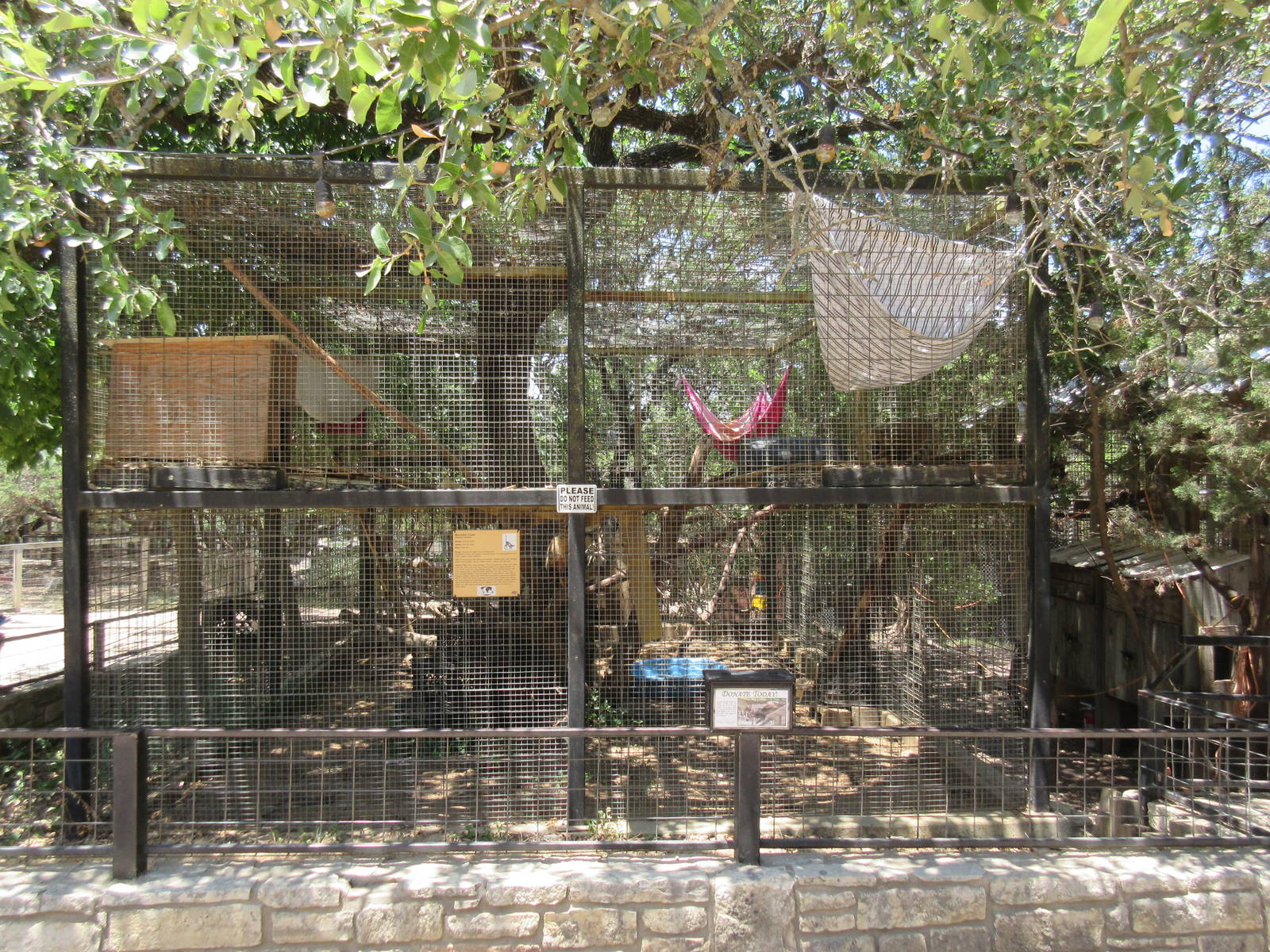 Coati Exhibit #2 (sign says Mountain Coatis)