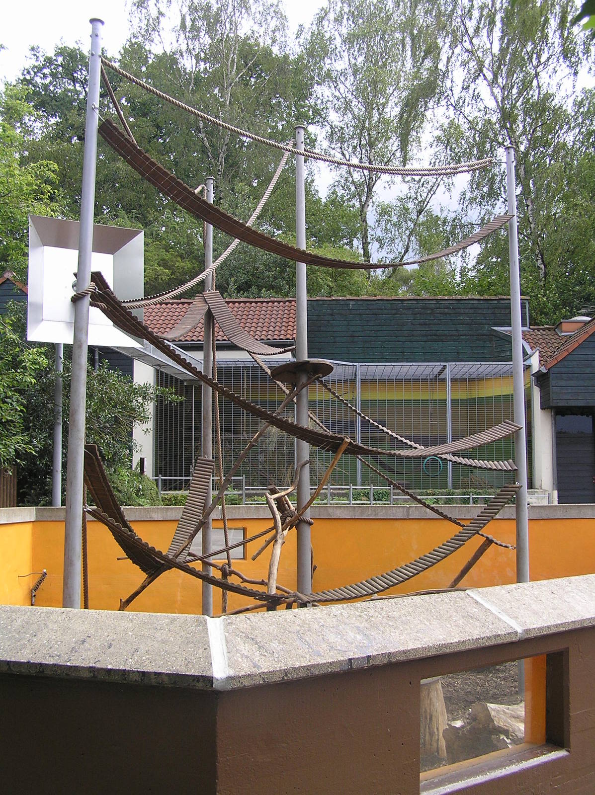 Coati exhibit - Aachen zoo 06