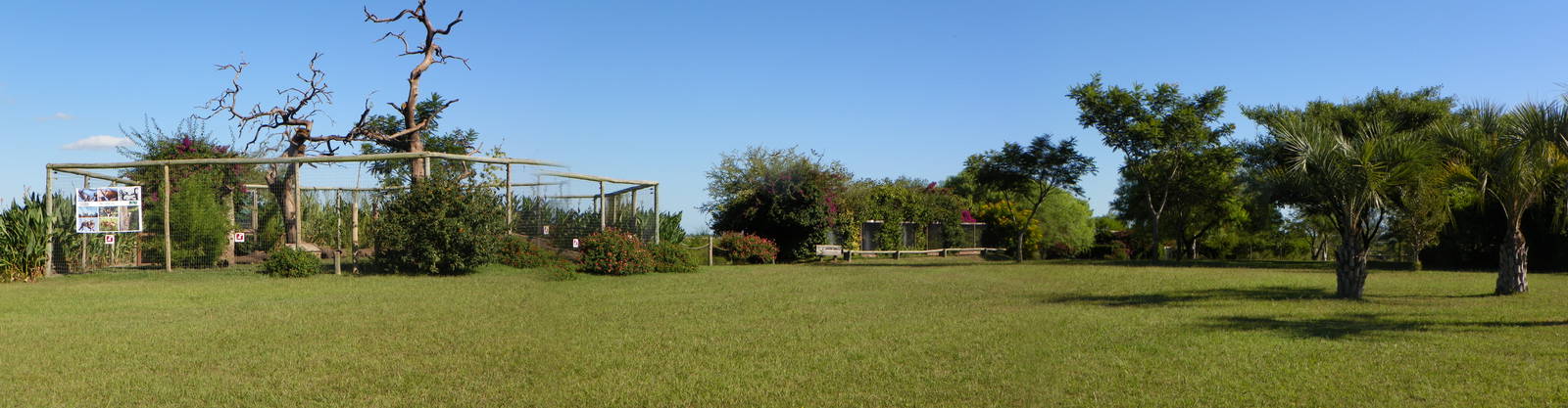 Coatí Exhibit and Aviaries.