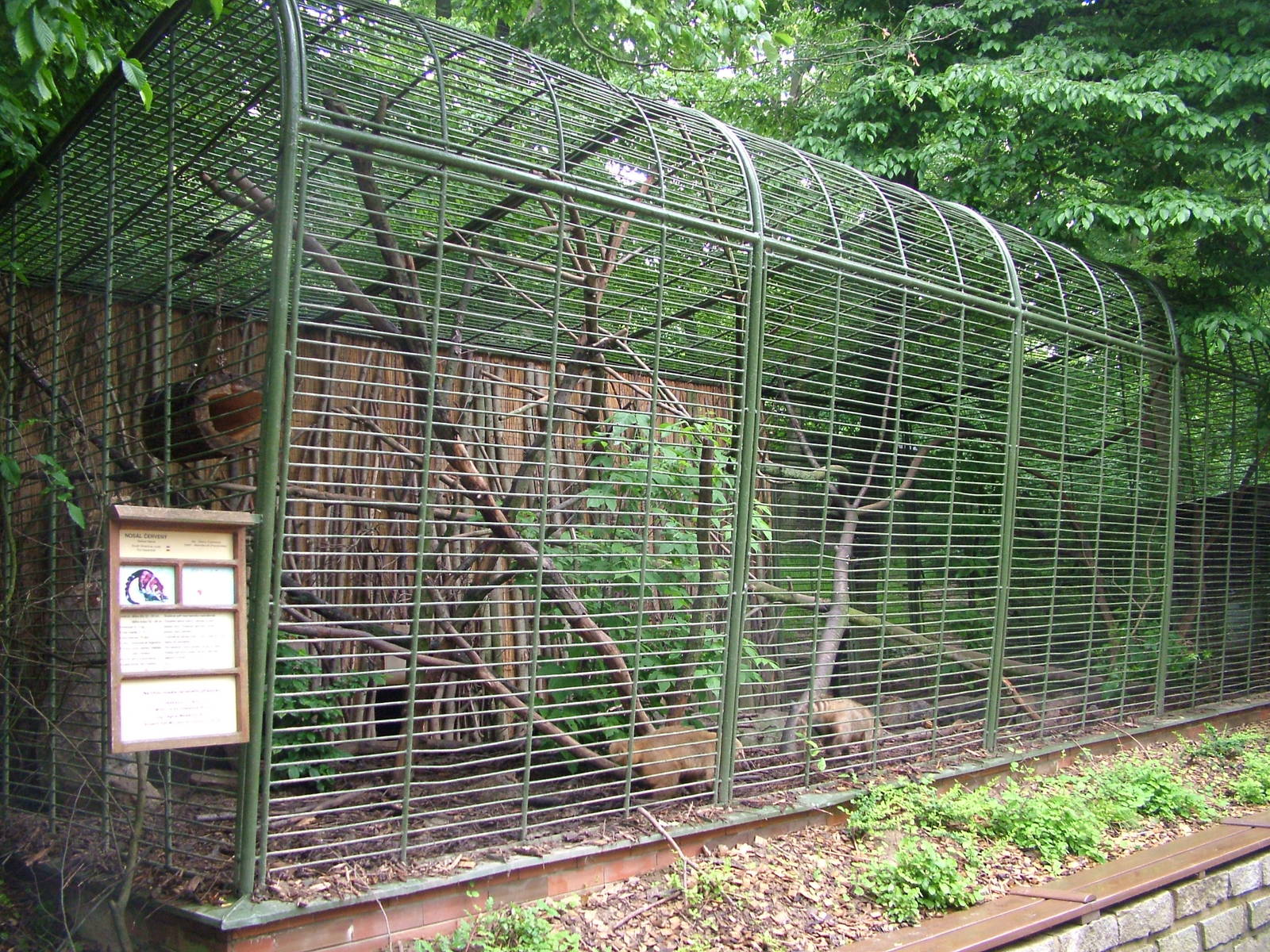 Coati exhibit at Brno, 27/05/10