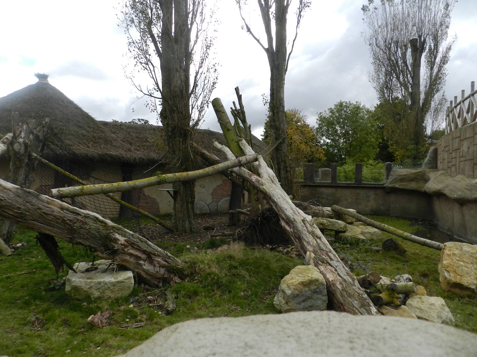 Coati Exhibit at Flamingo Land - 14/10/2012