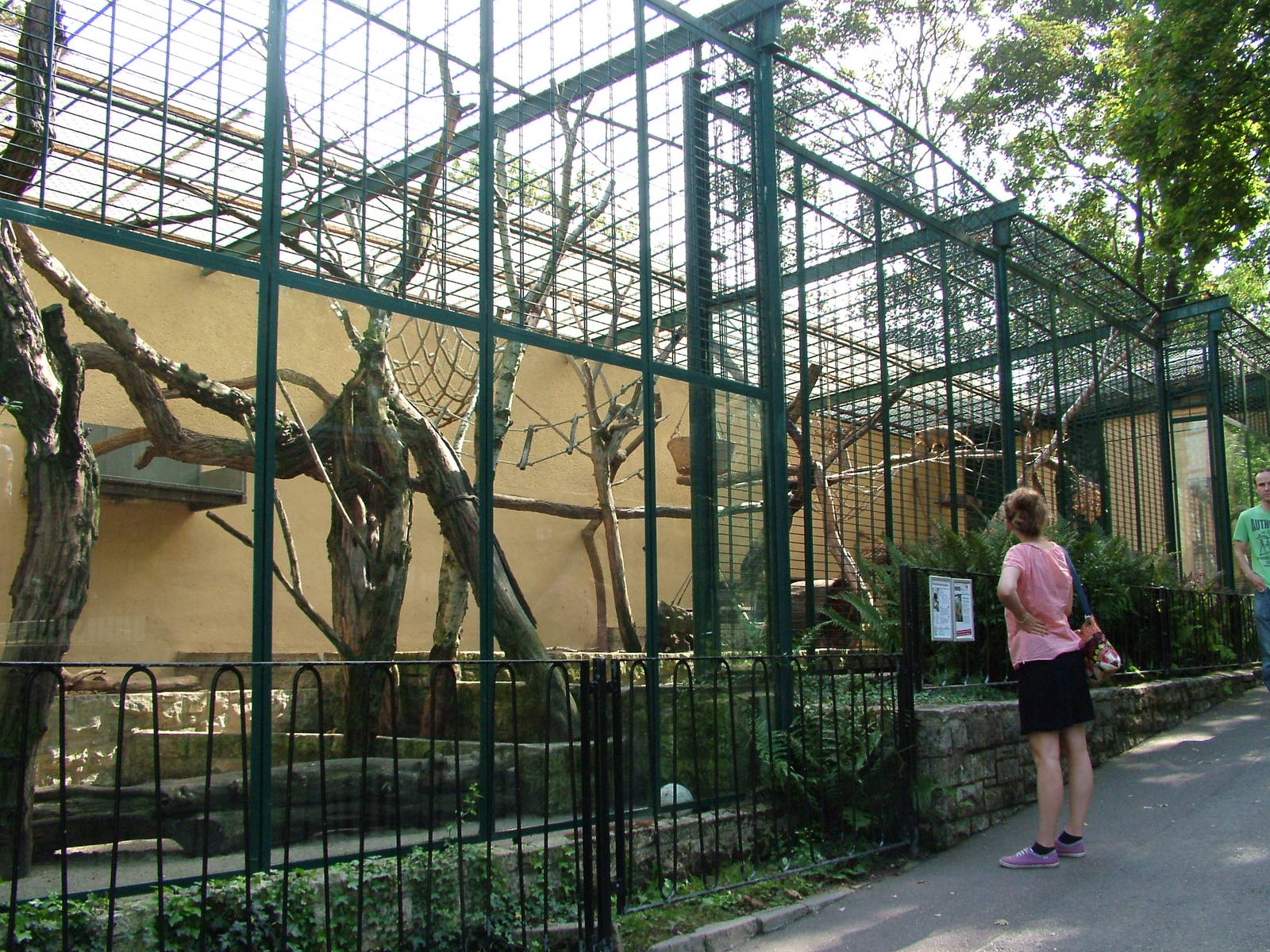 Coati Exhibit at Halle, 04/09/11