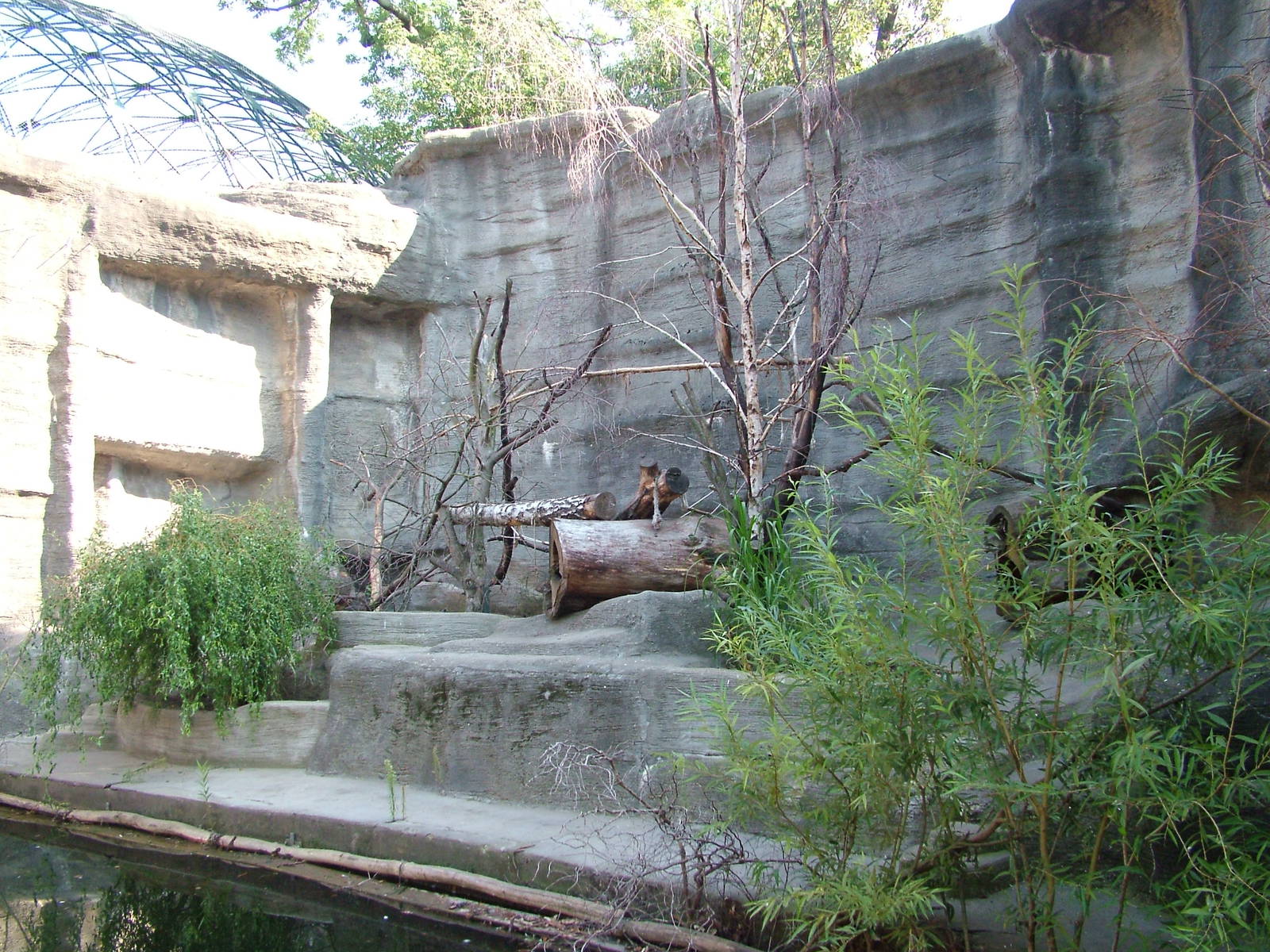 Coati Exhibit at Leipzig, 02/09/11