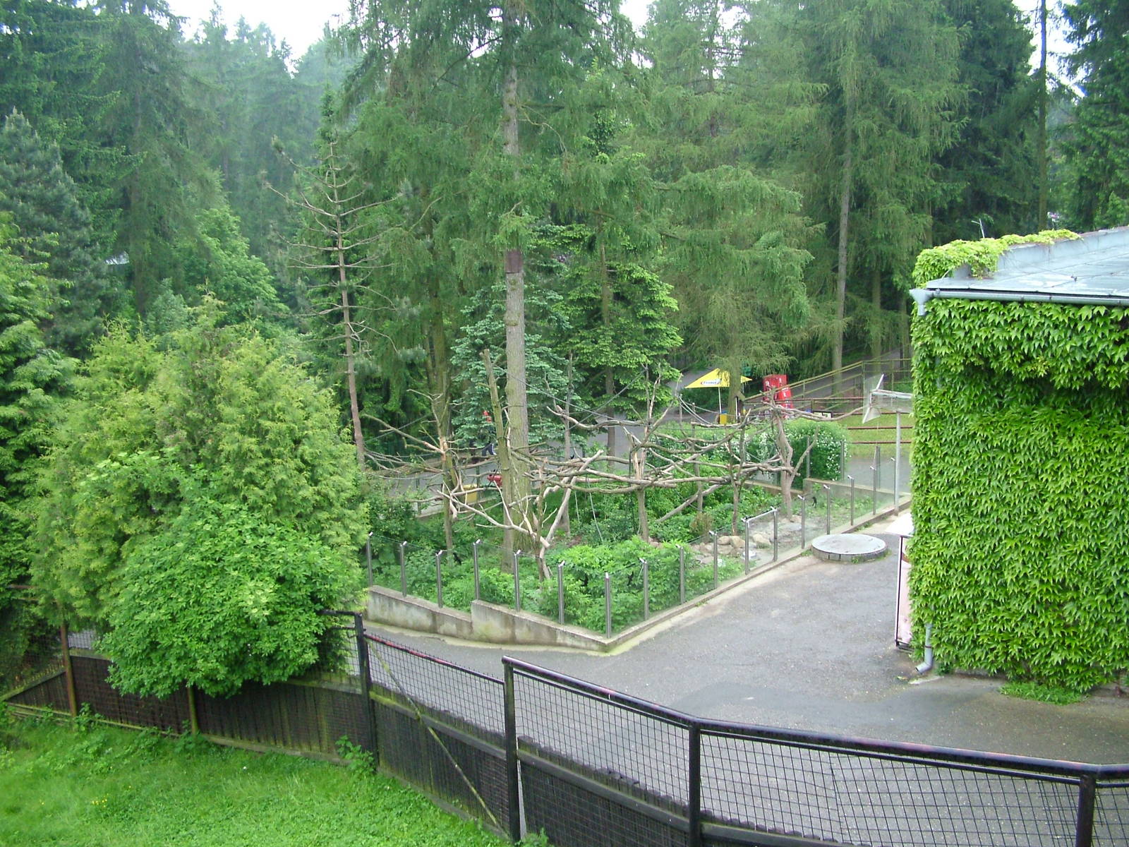 Coati exhibit at Olomouc 30/05/09
