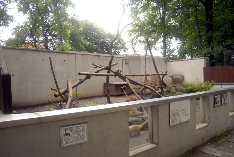 Coati exhibit at solingen