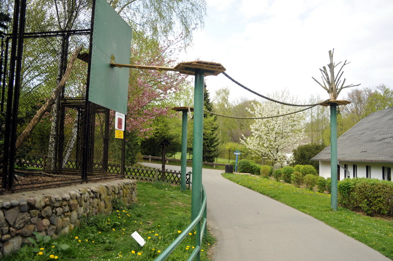 Coati exhibit at Tierpark Wismar