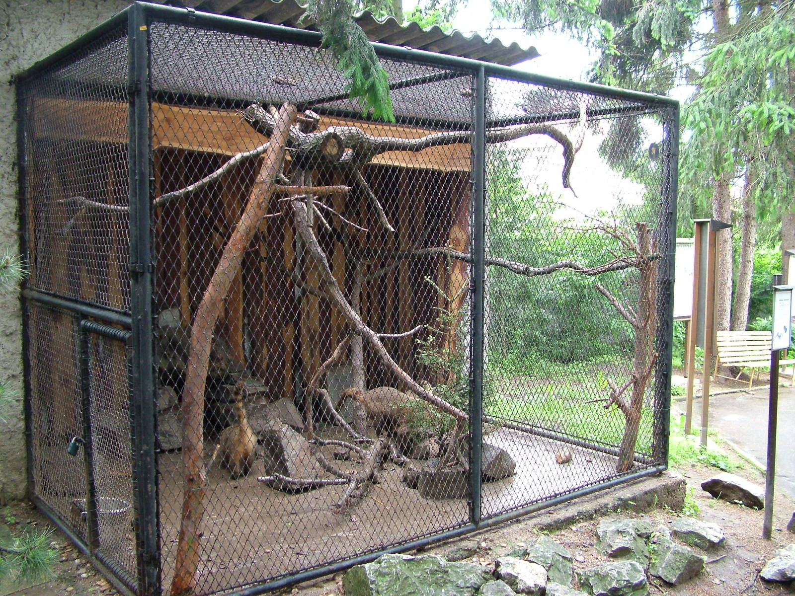 Coati exhibit at Vyskov, 30/05/10