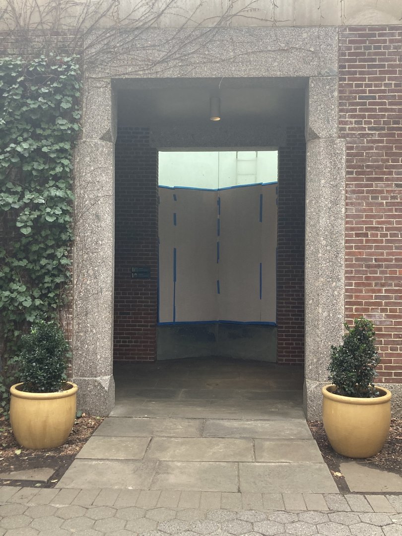 Coati Exhibit Construction