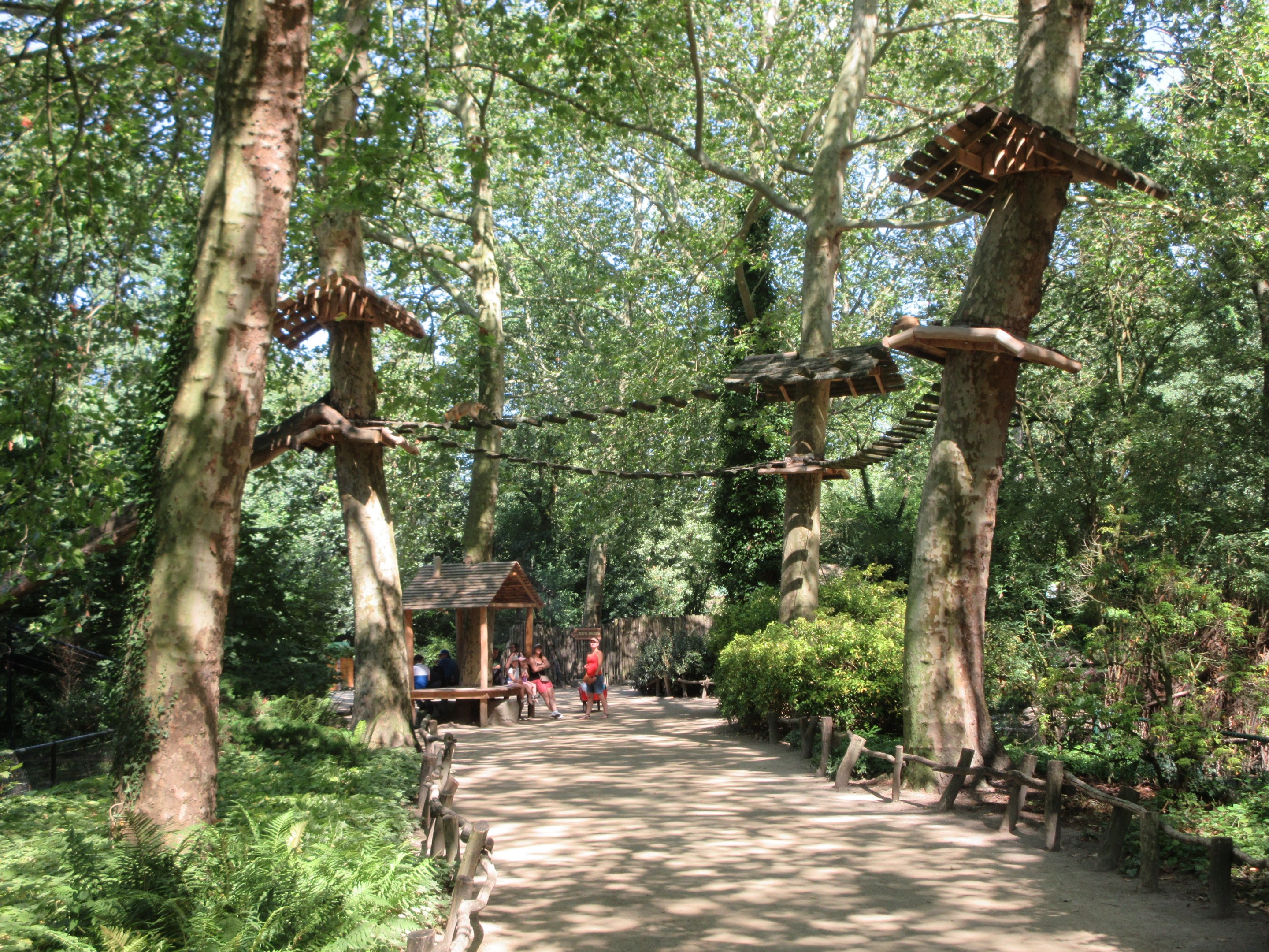 Coati Exhibit (fantastic idea!)