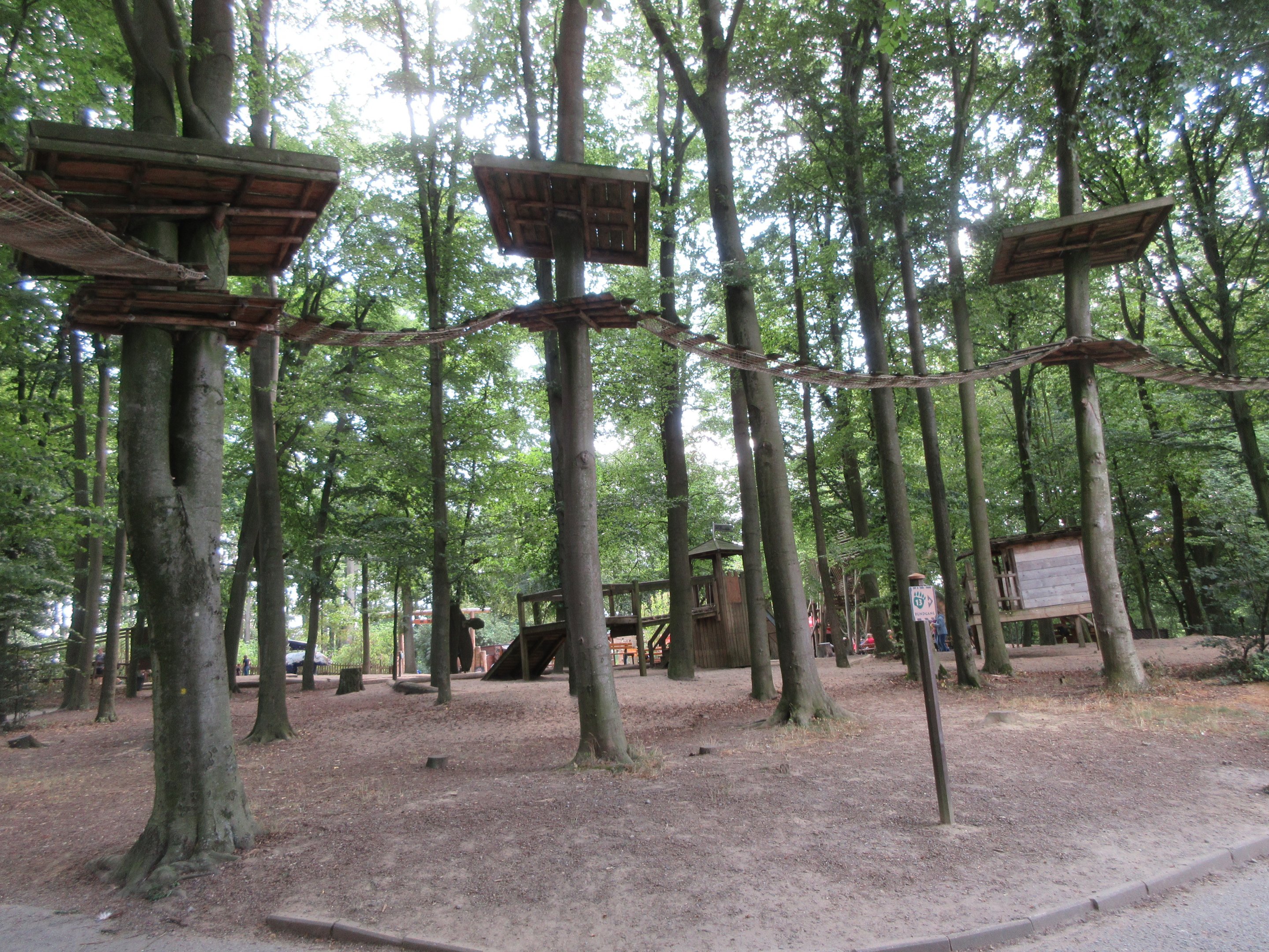 Coati Exhibit - overhead pathways