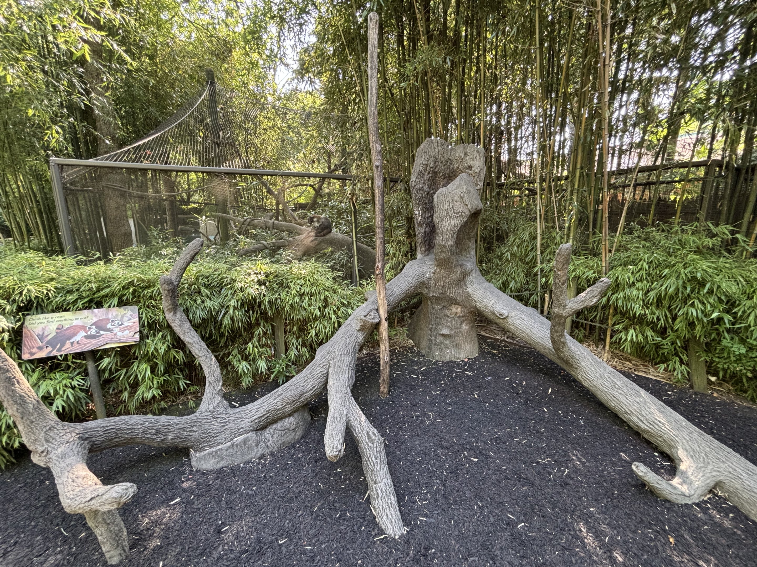 Coati Exhibit + Play Area