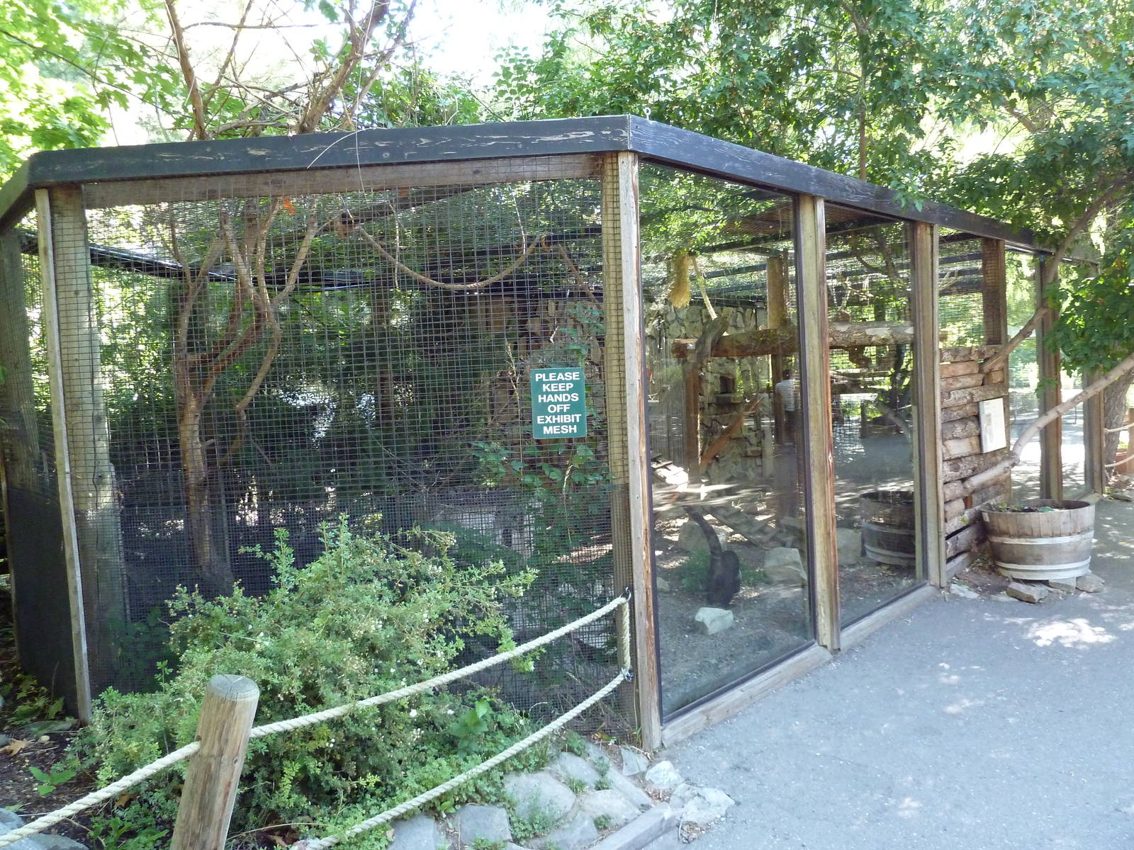 Coati Exhibit