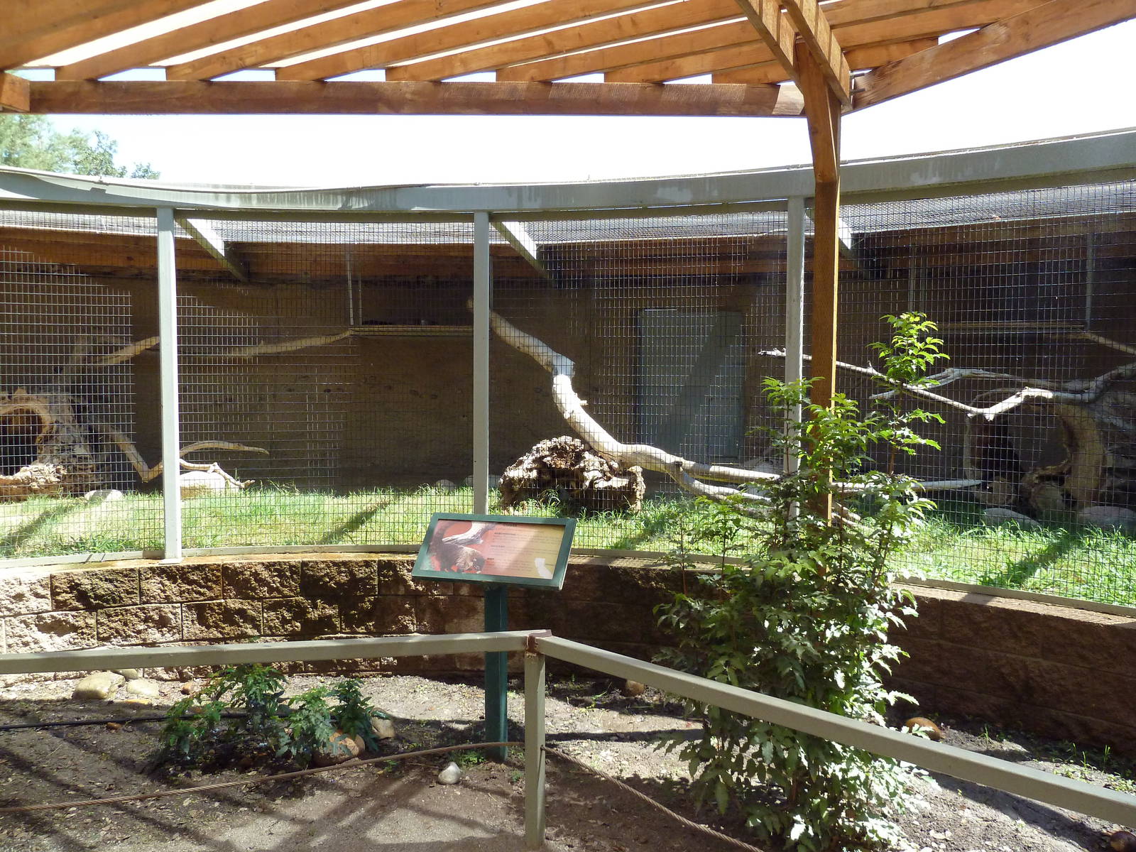 Coati Exhibit