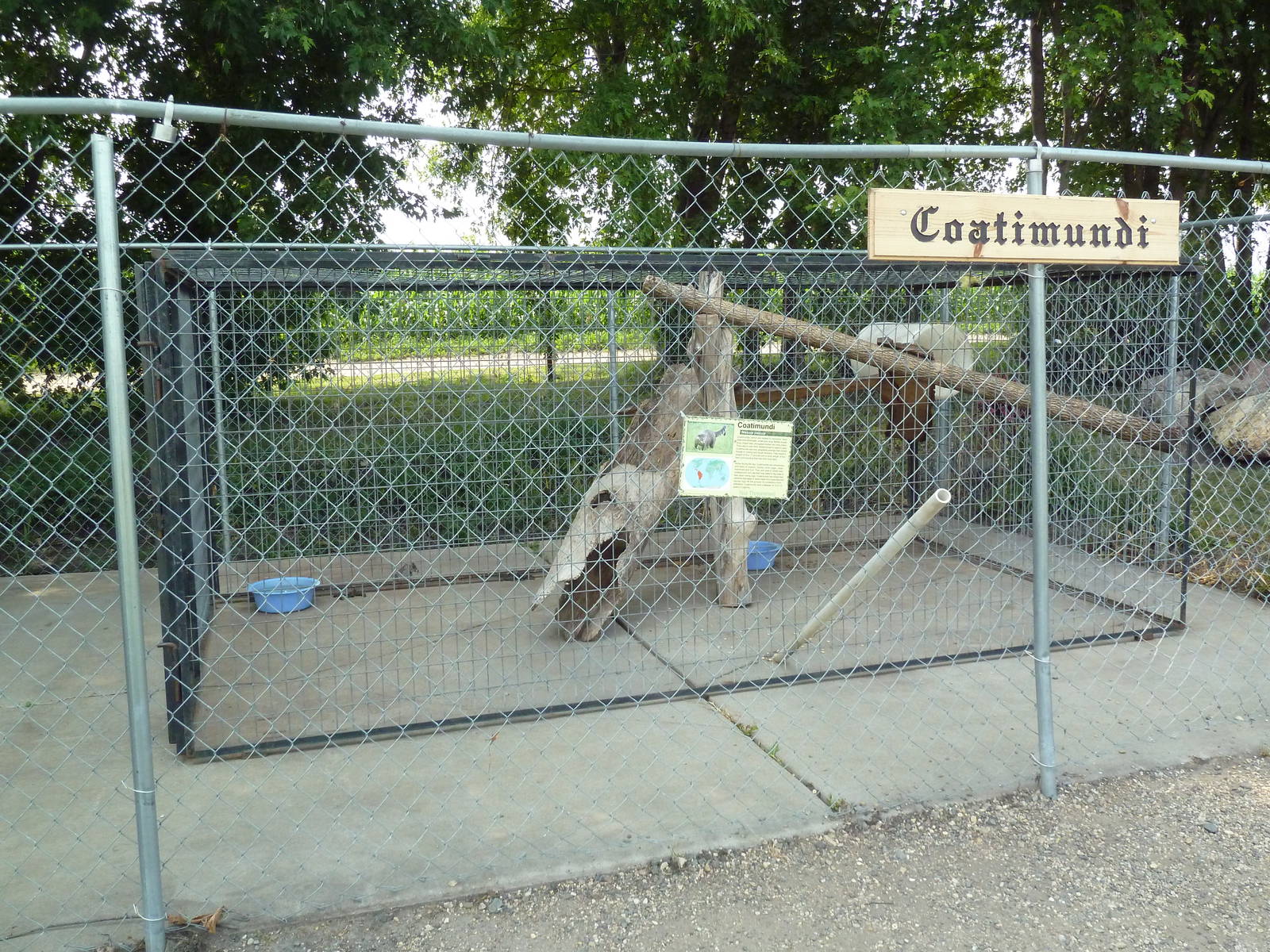 Coati Exhibit