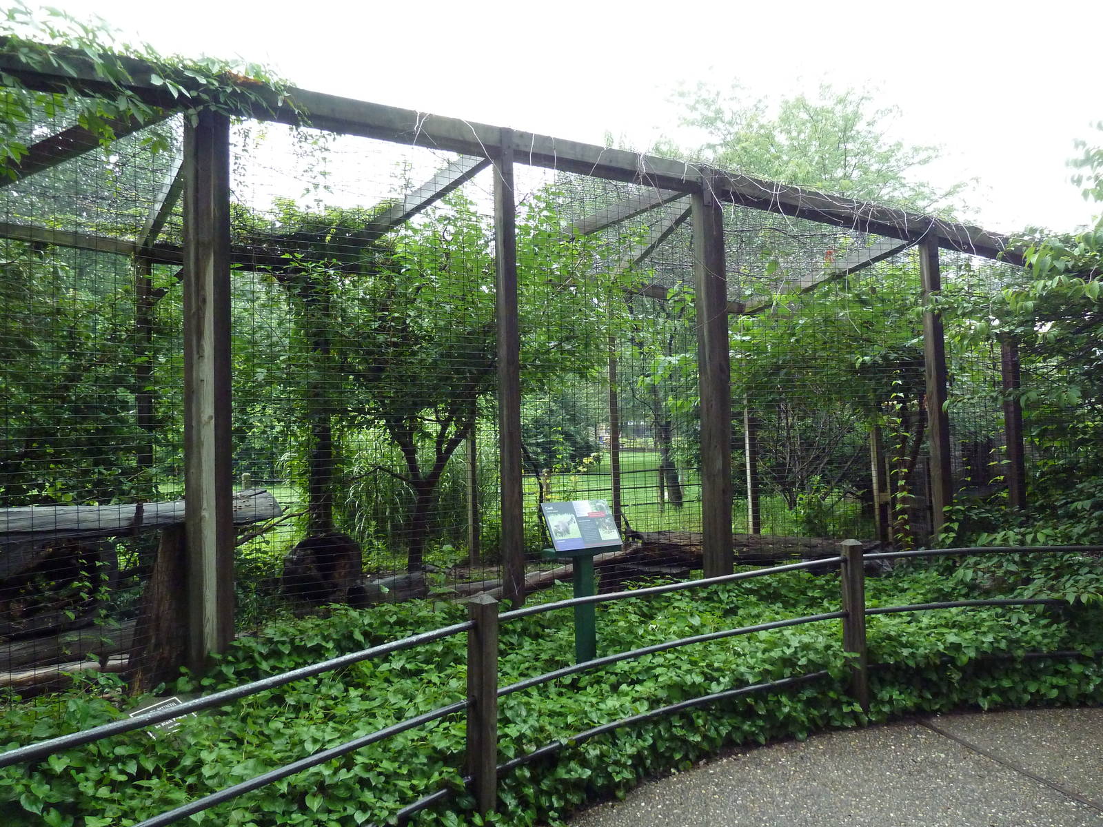 Coati Exhibit