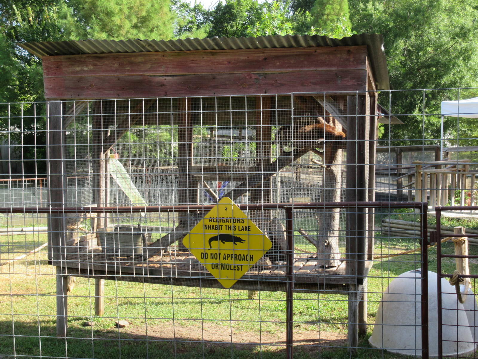 Coati Exhibit