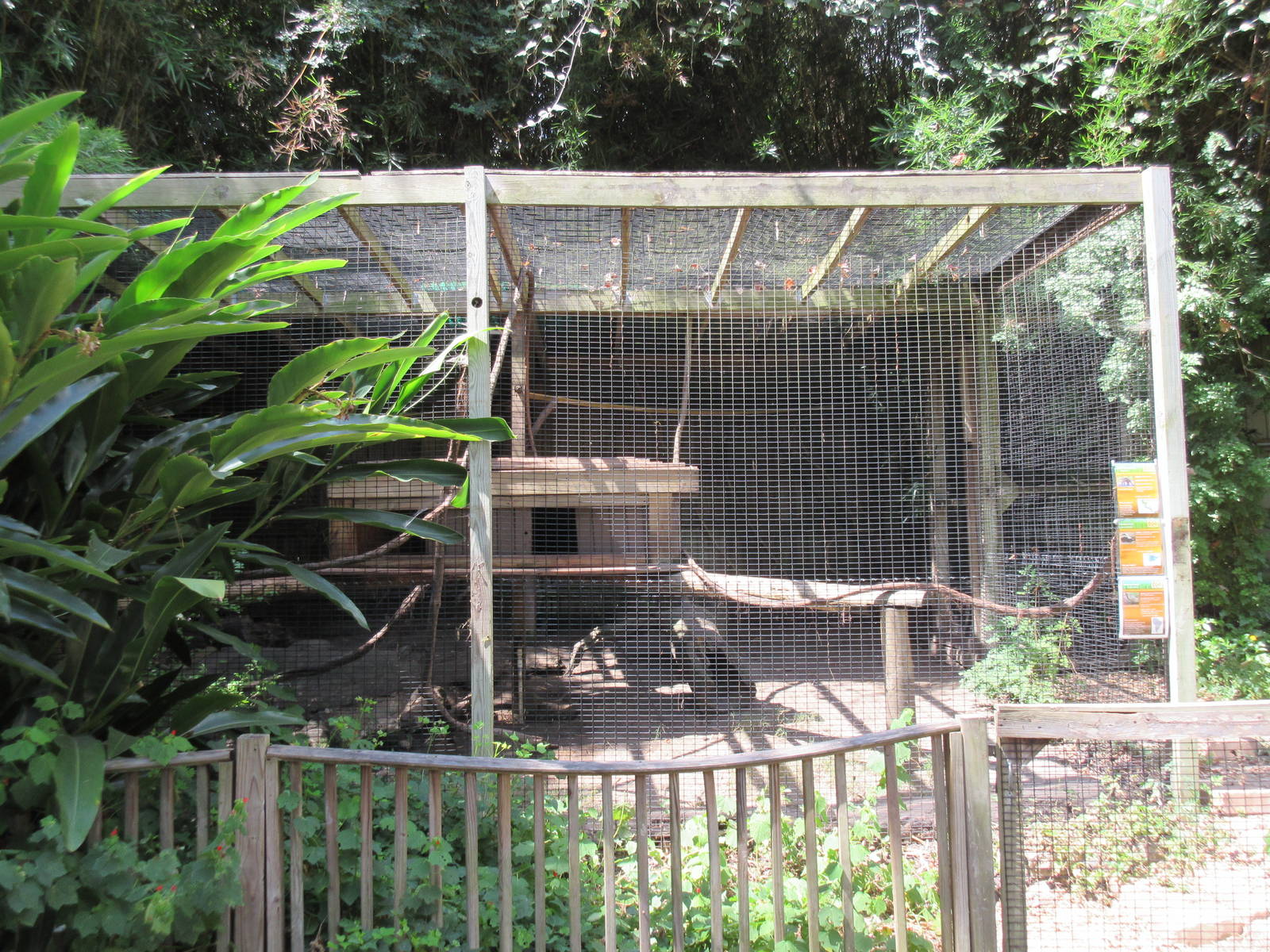 Coati Exhibit