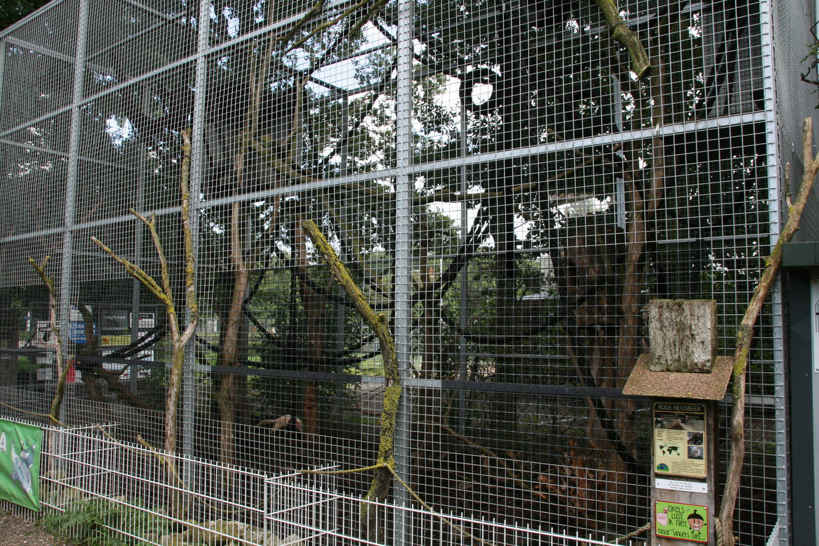 Coati exhibit