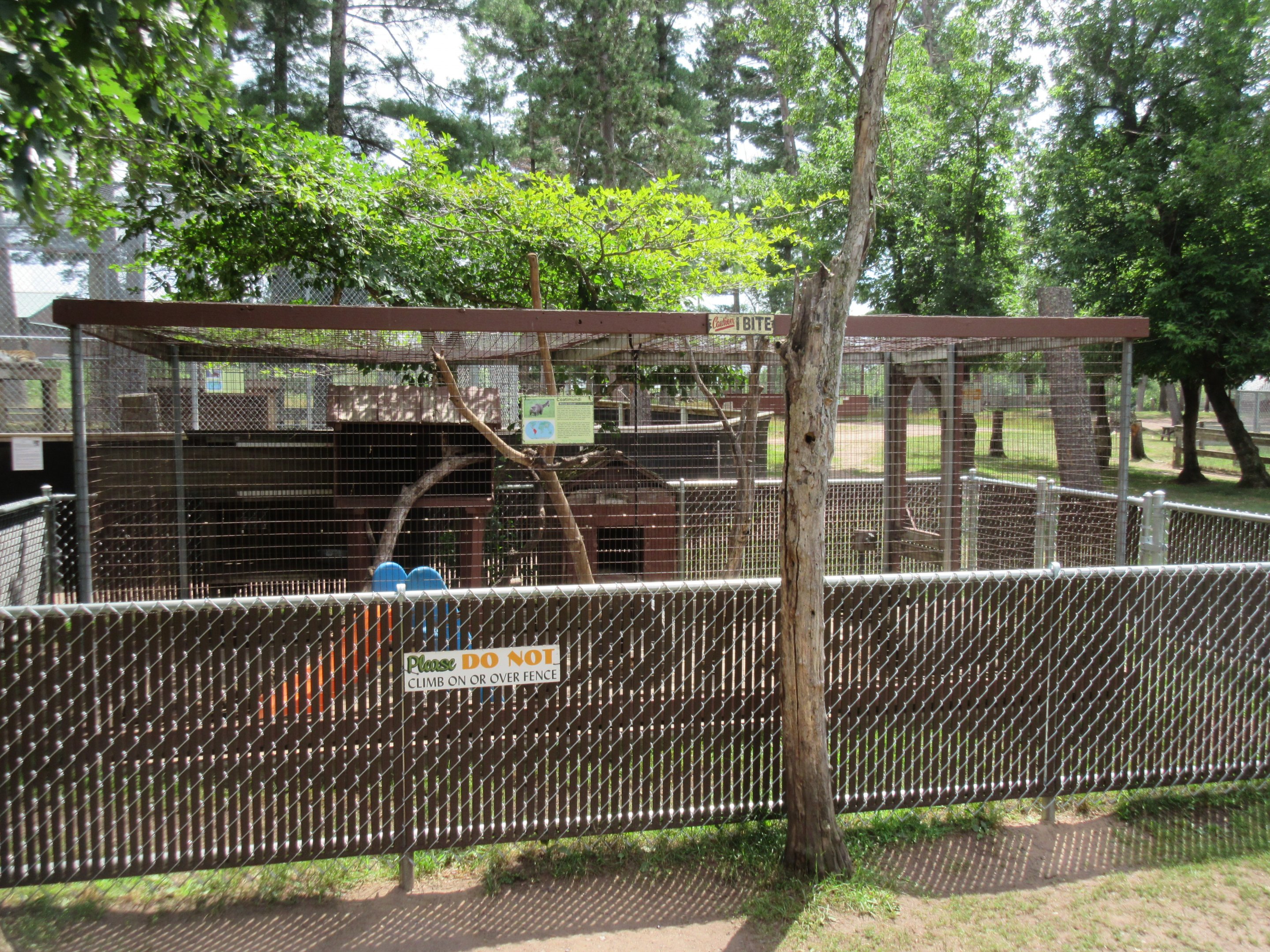 Coati Exhibit