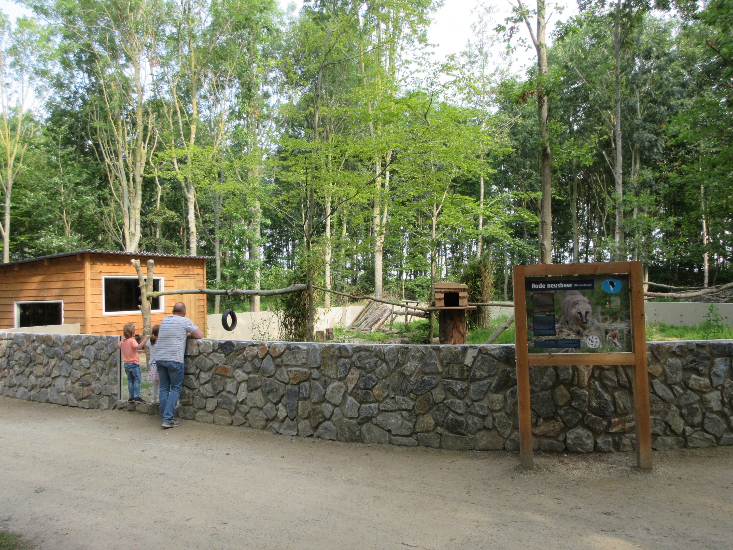 Coati Exhibit
