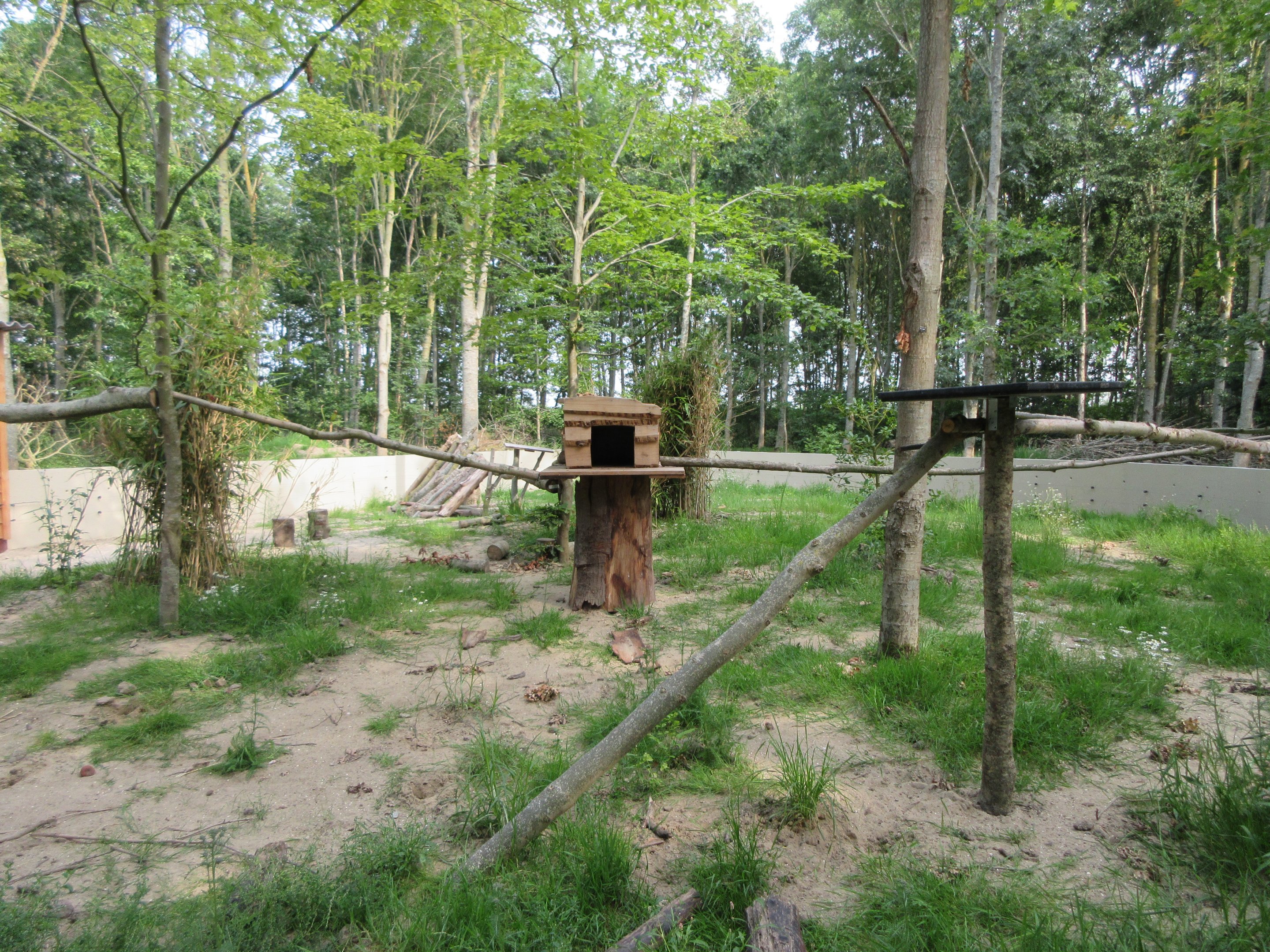 Coati Exhibit