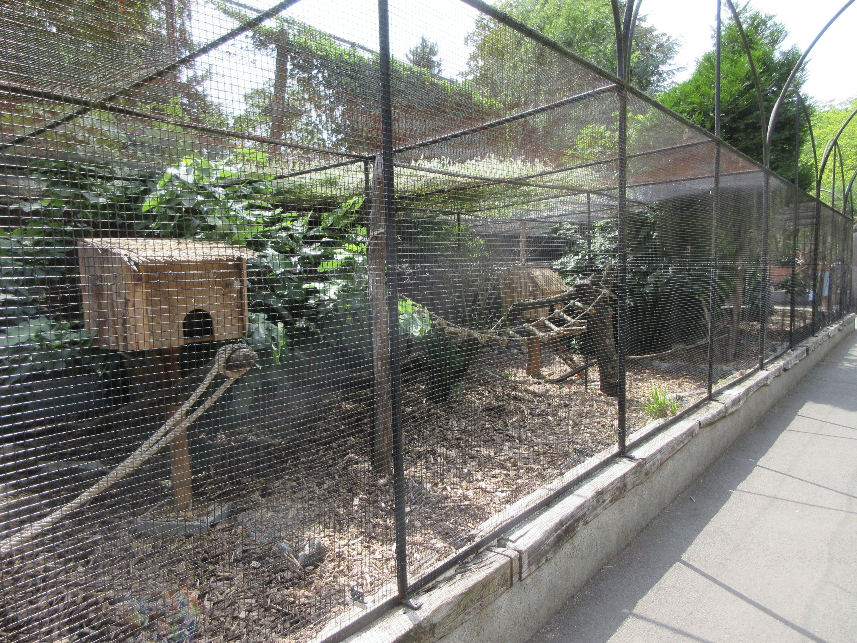 Coati Exhibit