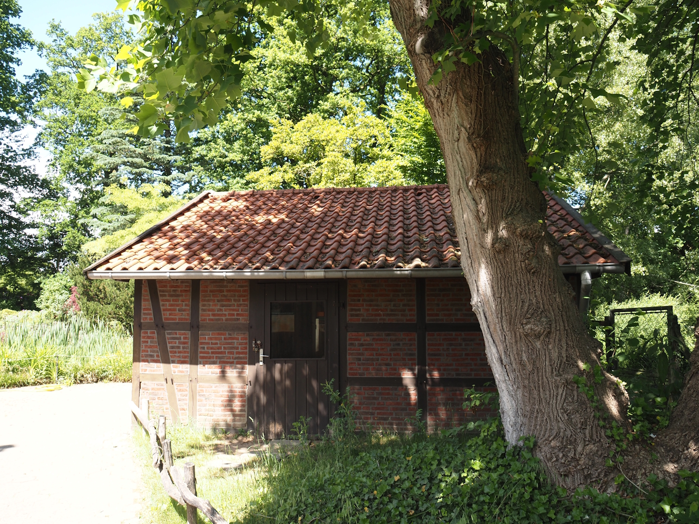 Coati house, 2025-05-22