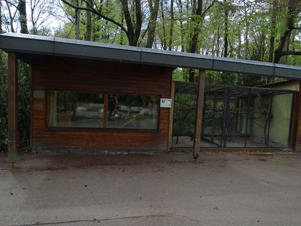 Coati indoor enclosure and sun conure aviary