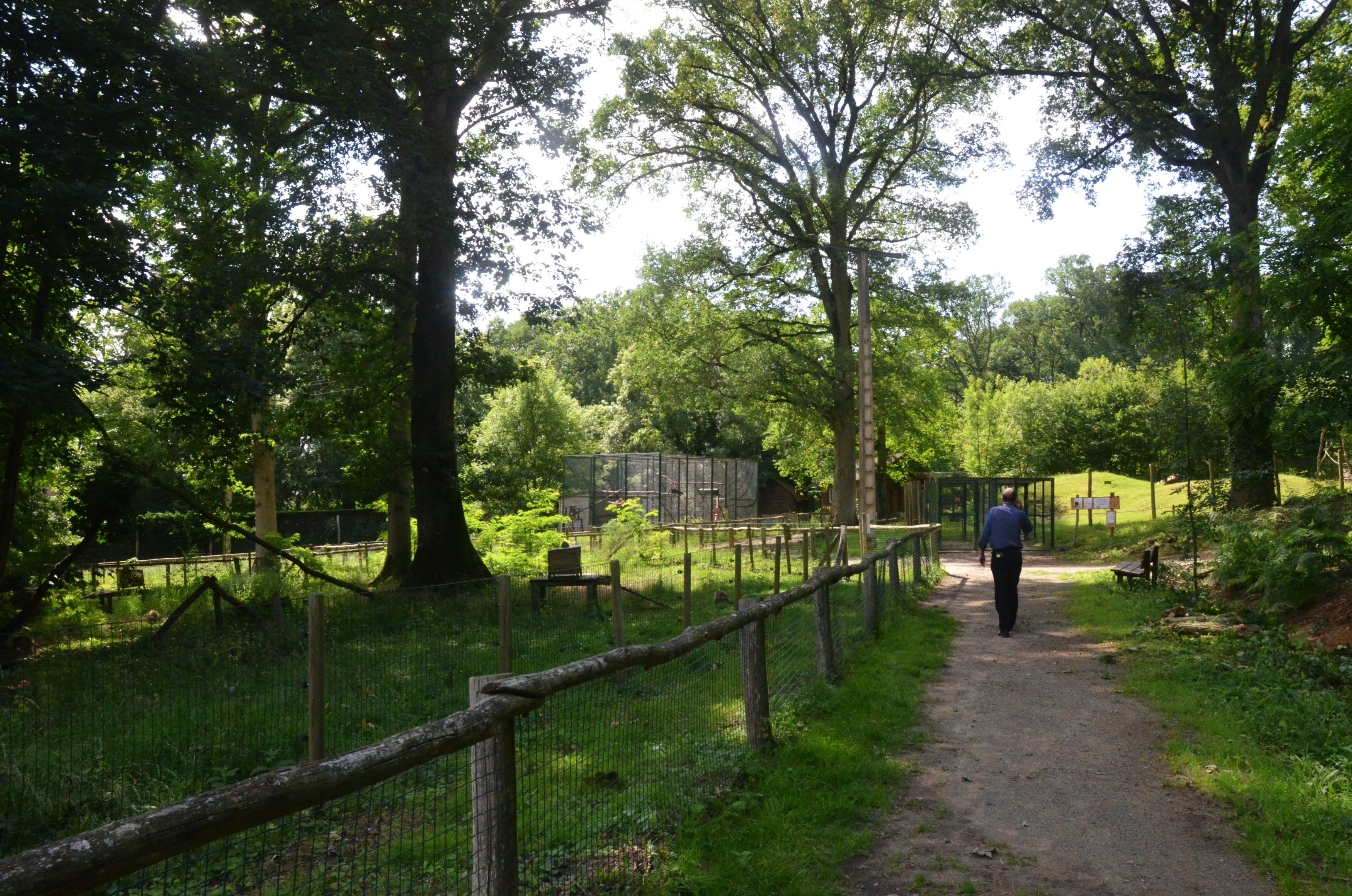 Coati (L) and Tayra (rear) Enclosure at Pescheray, 13/06/18