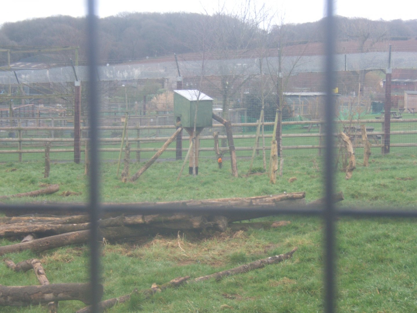 Coati nest box 03/02/2018