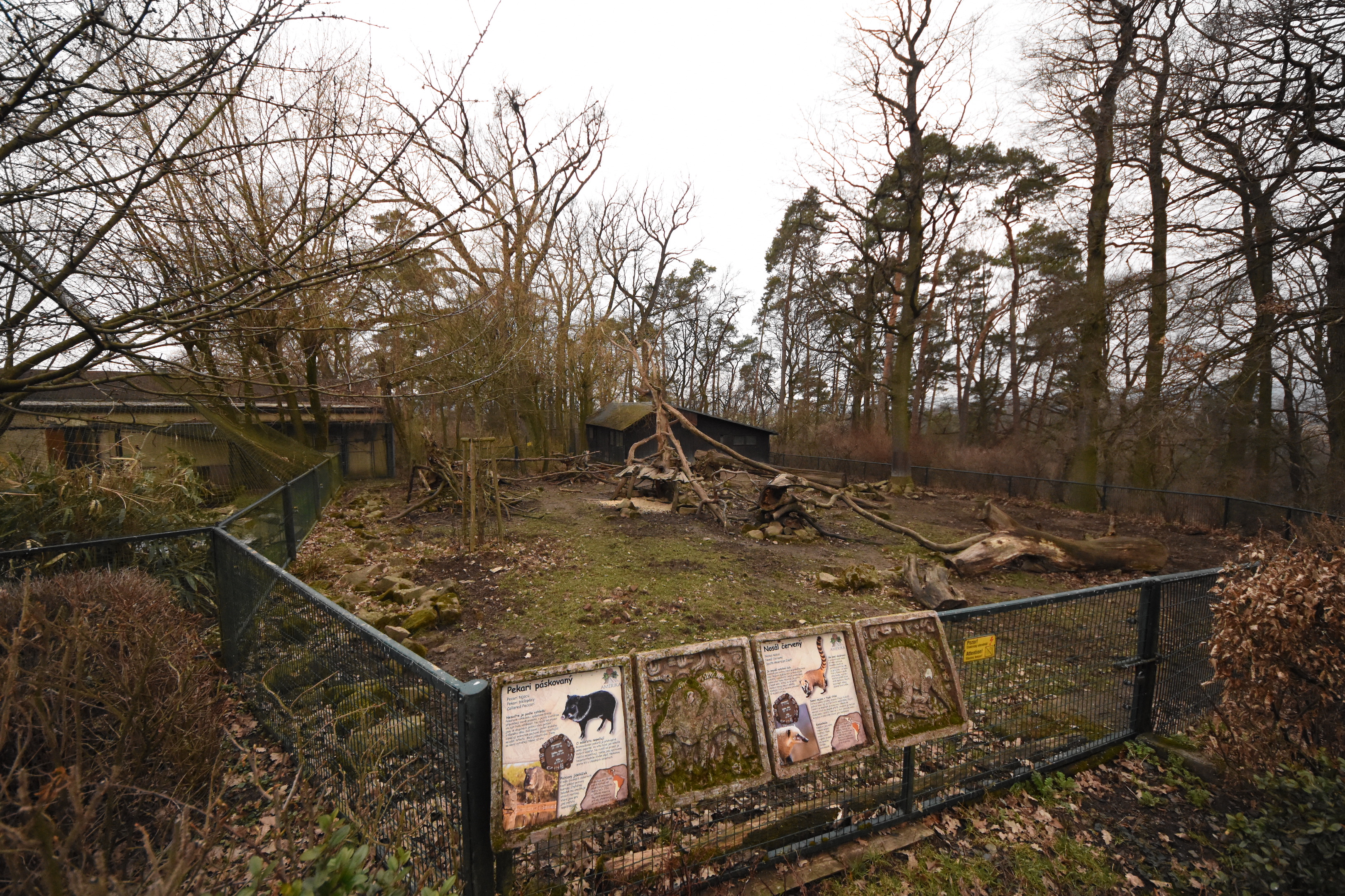 Coati & Peccary enclosure