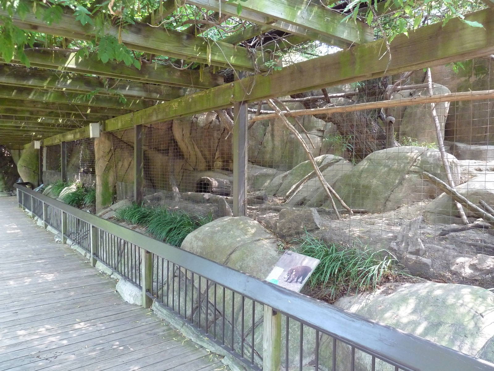Coati + Red Fox Exhibits