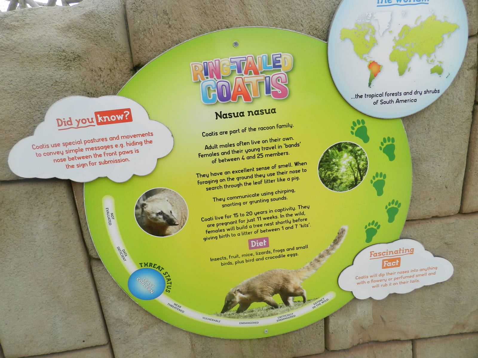 Coati Sign at Flamingo Land - 14/10/2012