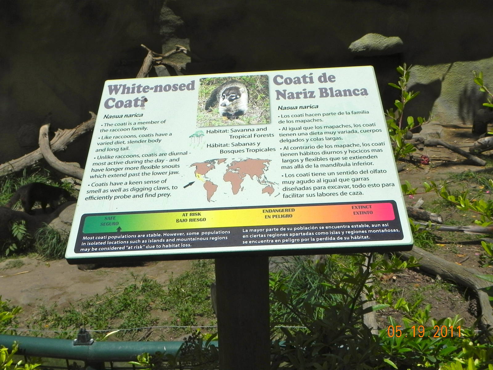 Coati sign