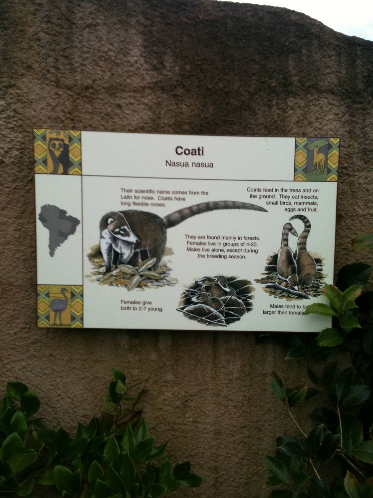 Coati Signage - 16/02/2011