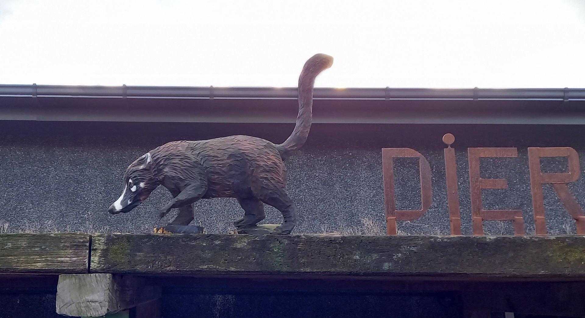 Coati-statue on the entrance