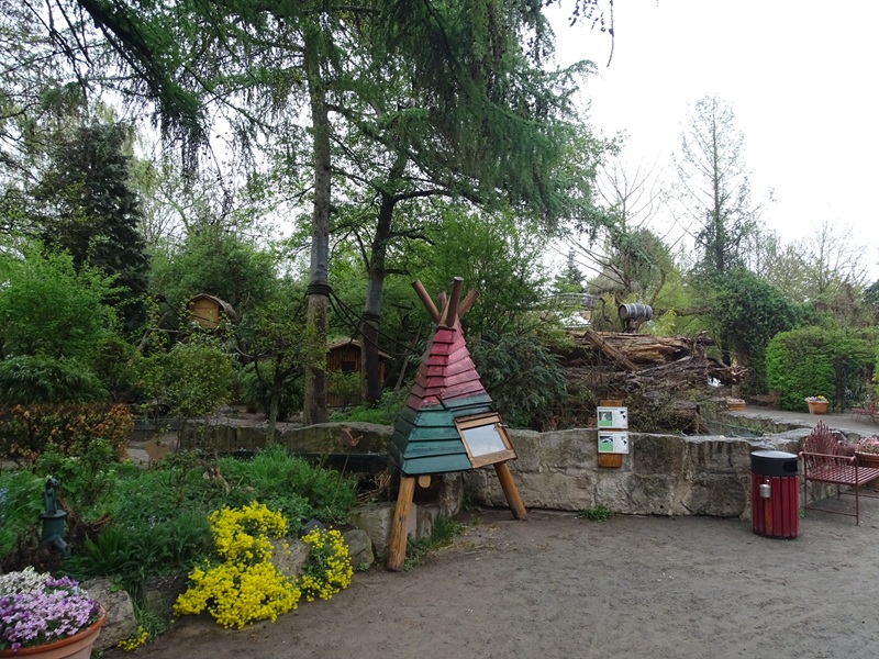 Coati / striped skunk enclosure