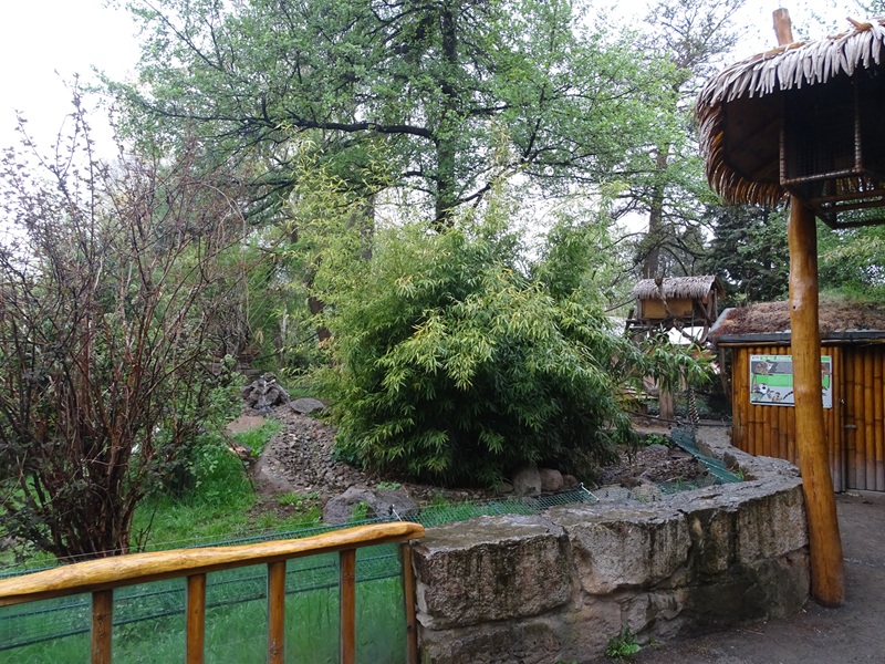 Coati / striped skunk enclosure
