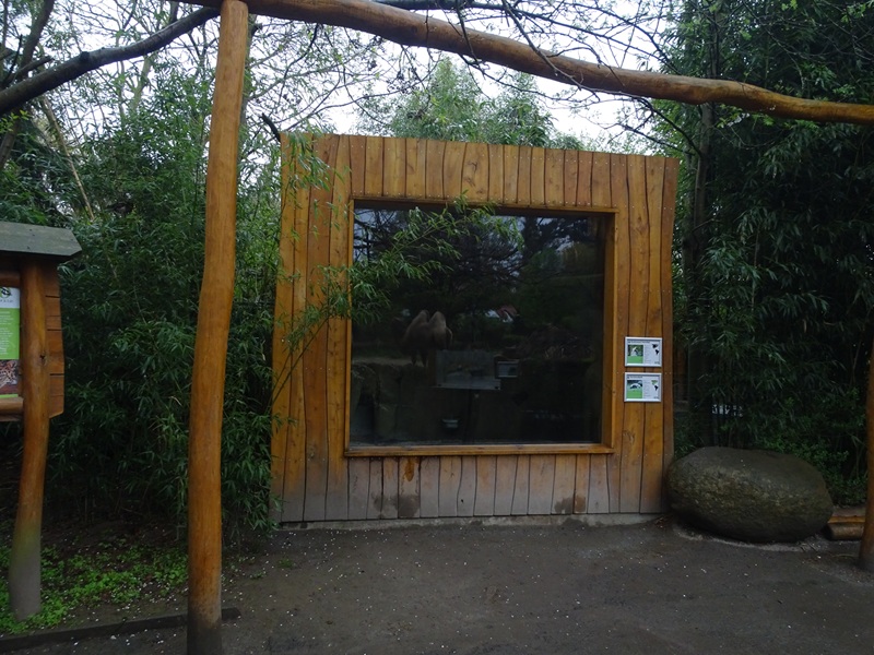 Coati/striped skunk indoor enclosure