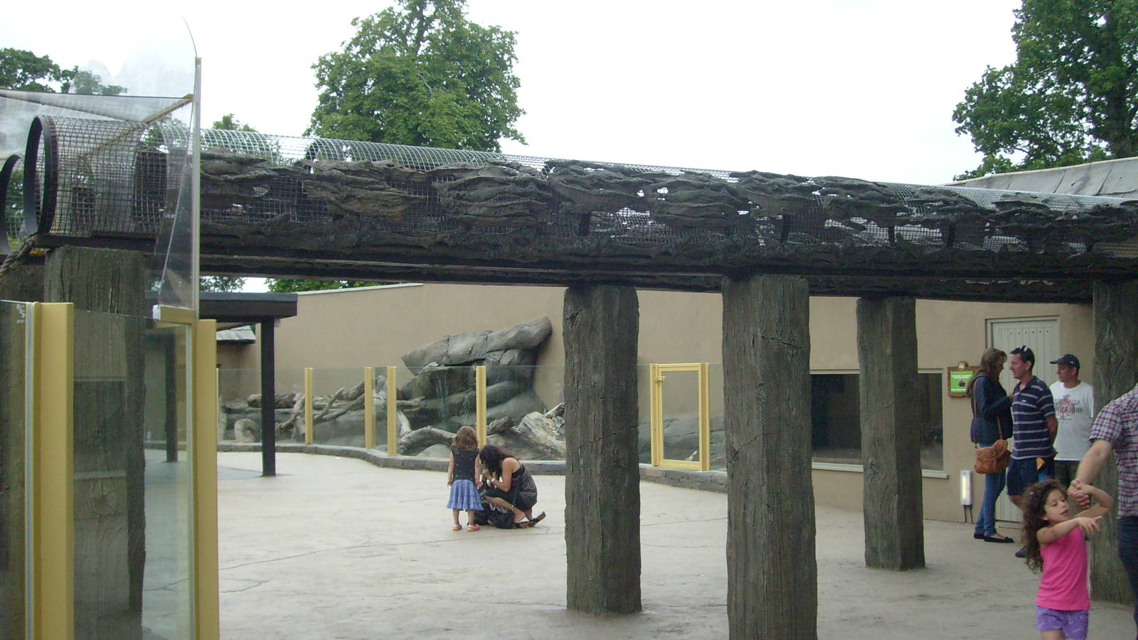 Coati Walkway - Jungle Kingdom