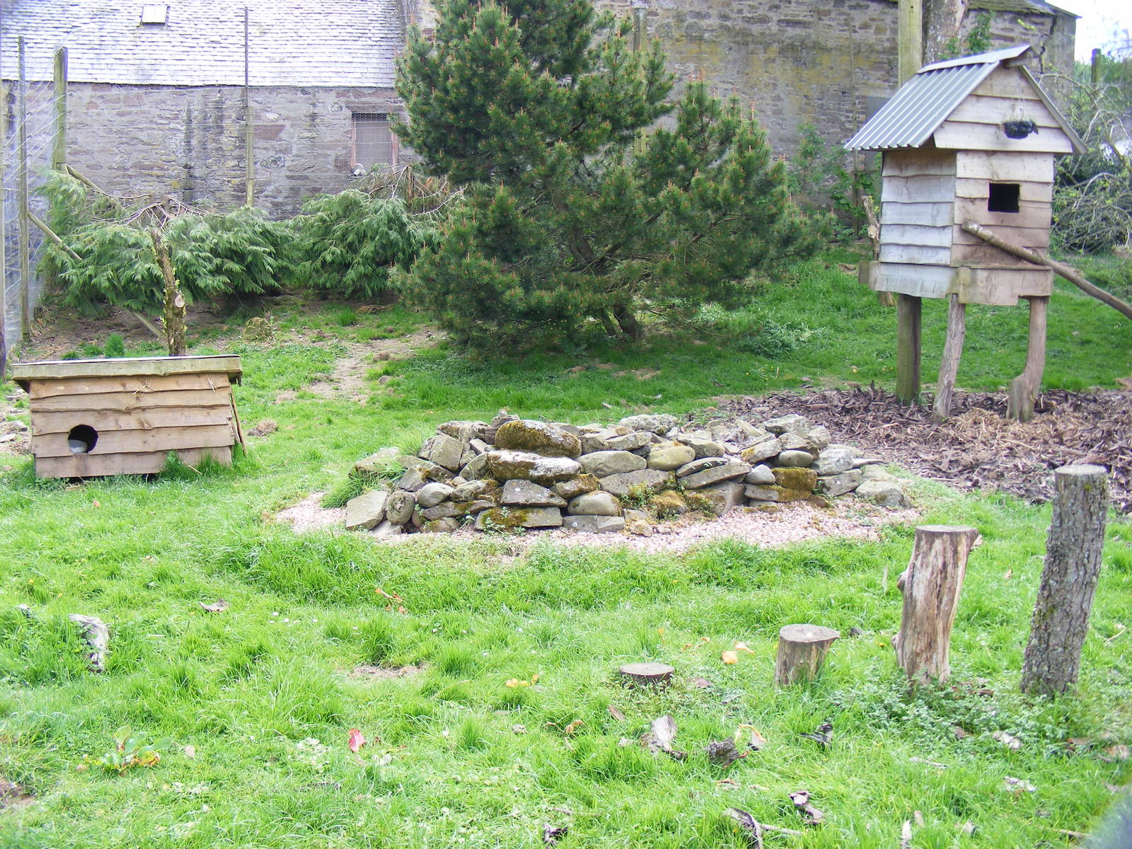 Coatimundi enclosure at Auchingarrich Wildlife Centre, 20 May 2010