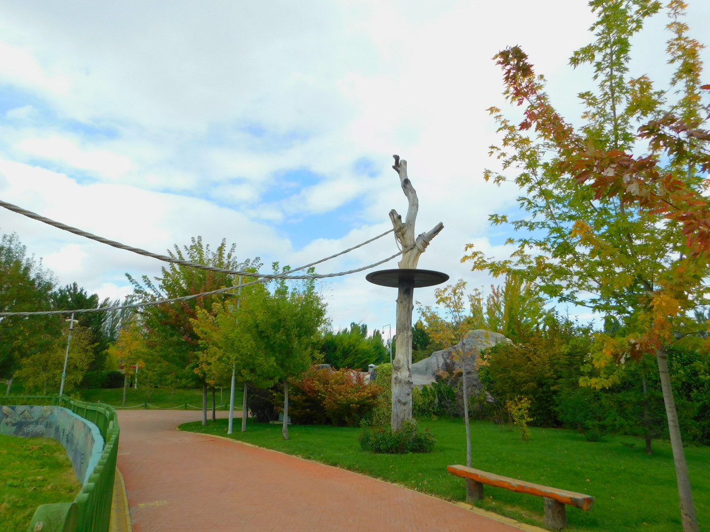 Coatimundi Enclosure Connected to a Tree