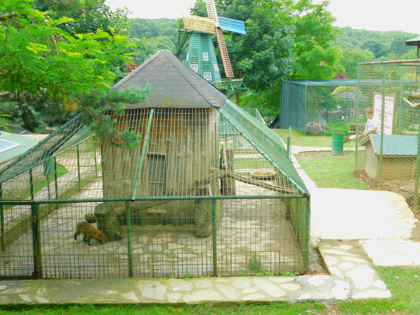 Coatimundi Enclosure Extention