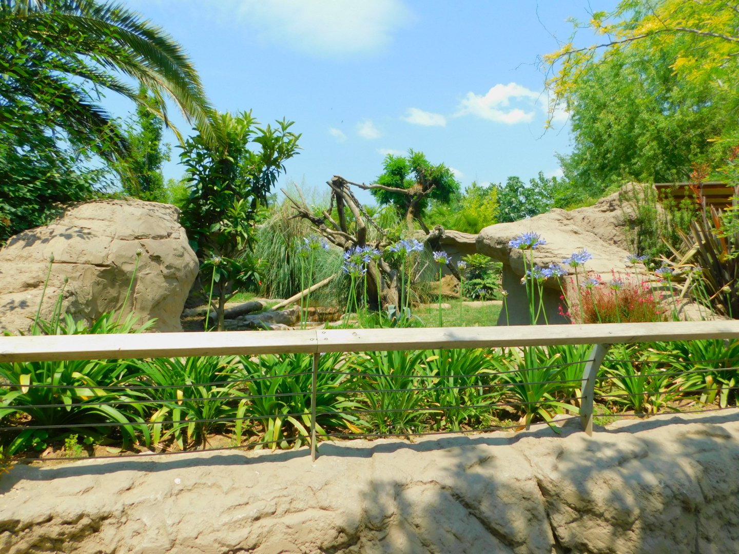 Coatimundi enclosure from afar