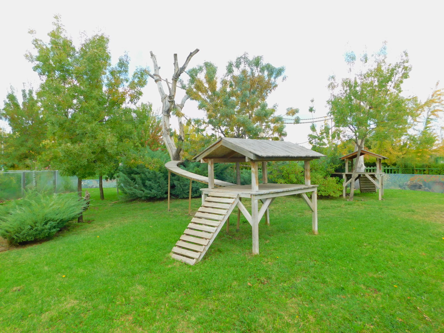 Coatimundi Enclosure