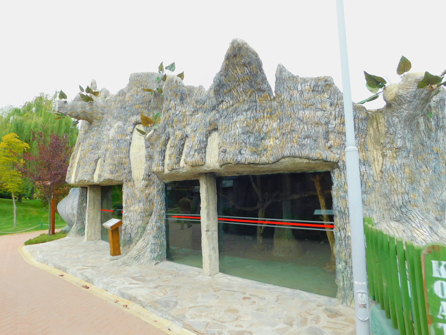 Coatimundi Enclosure