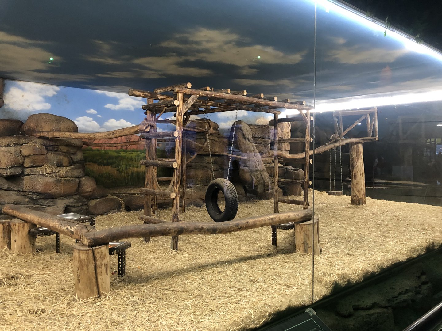 Coatimundi Enclosures at Aqua Vega