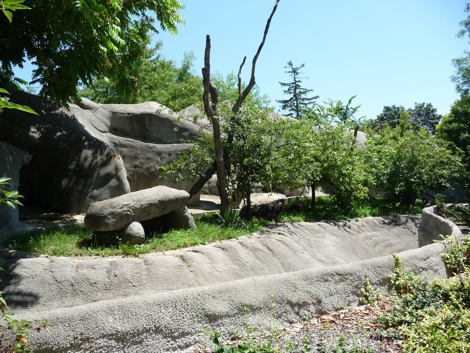 Coatimundi Exhibit - Detroit Zoo