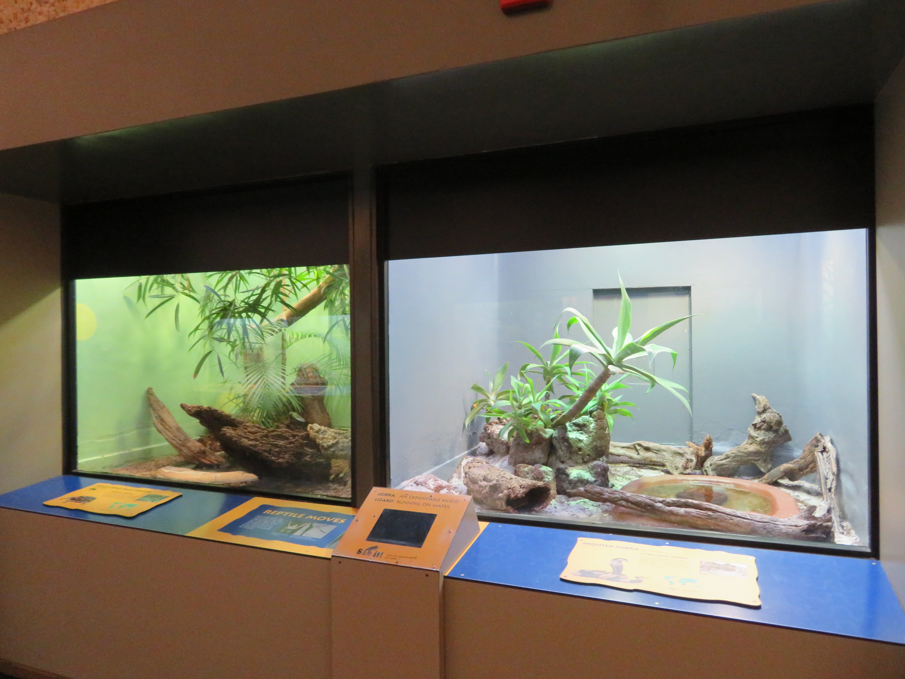 Cobra and Tortoise Exhibits