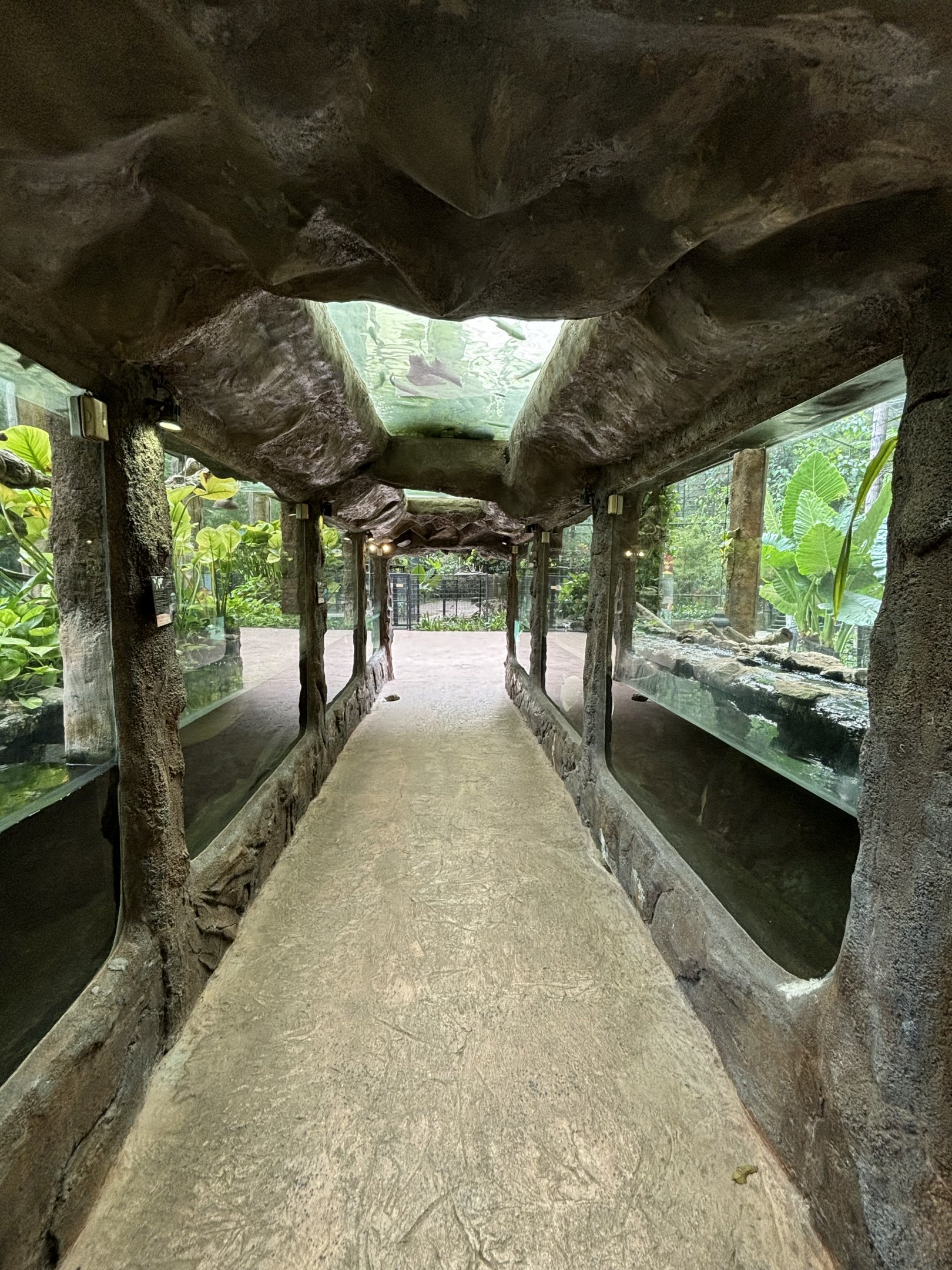 Cobra + Fish Exhibits - Lost World of Tambun